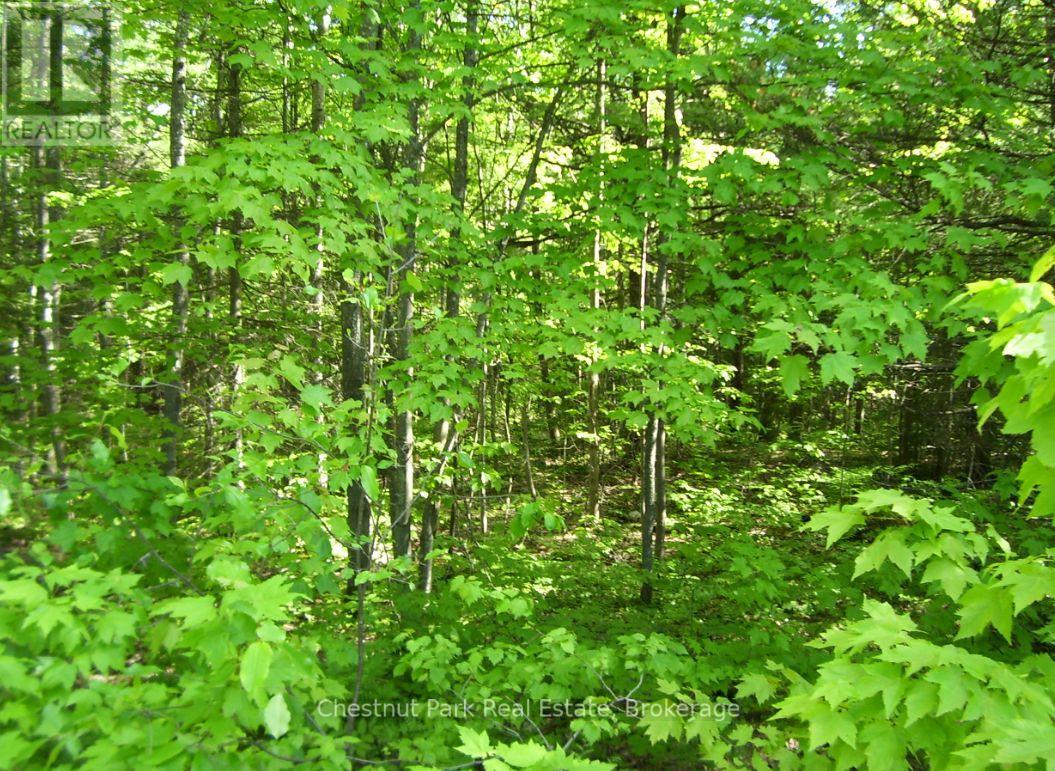 1839 Bear Cave Road, Muskoka Lakes, Ontario  P0B 1G0 - Photo 6 - X12650404