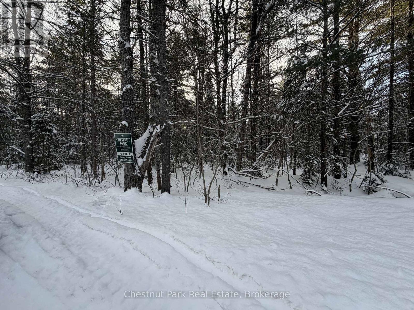 1839 Bear Cave Road, Muskoka Lakes, Ontario  P0B 1G0 - Photo 9 - X12650404