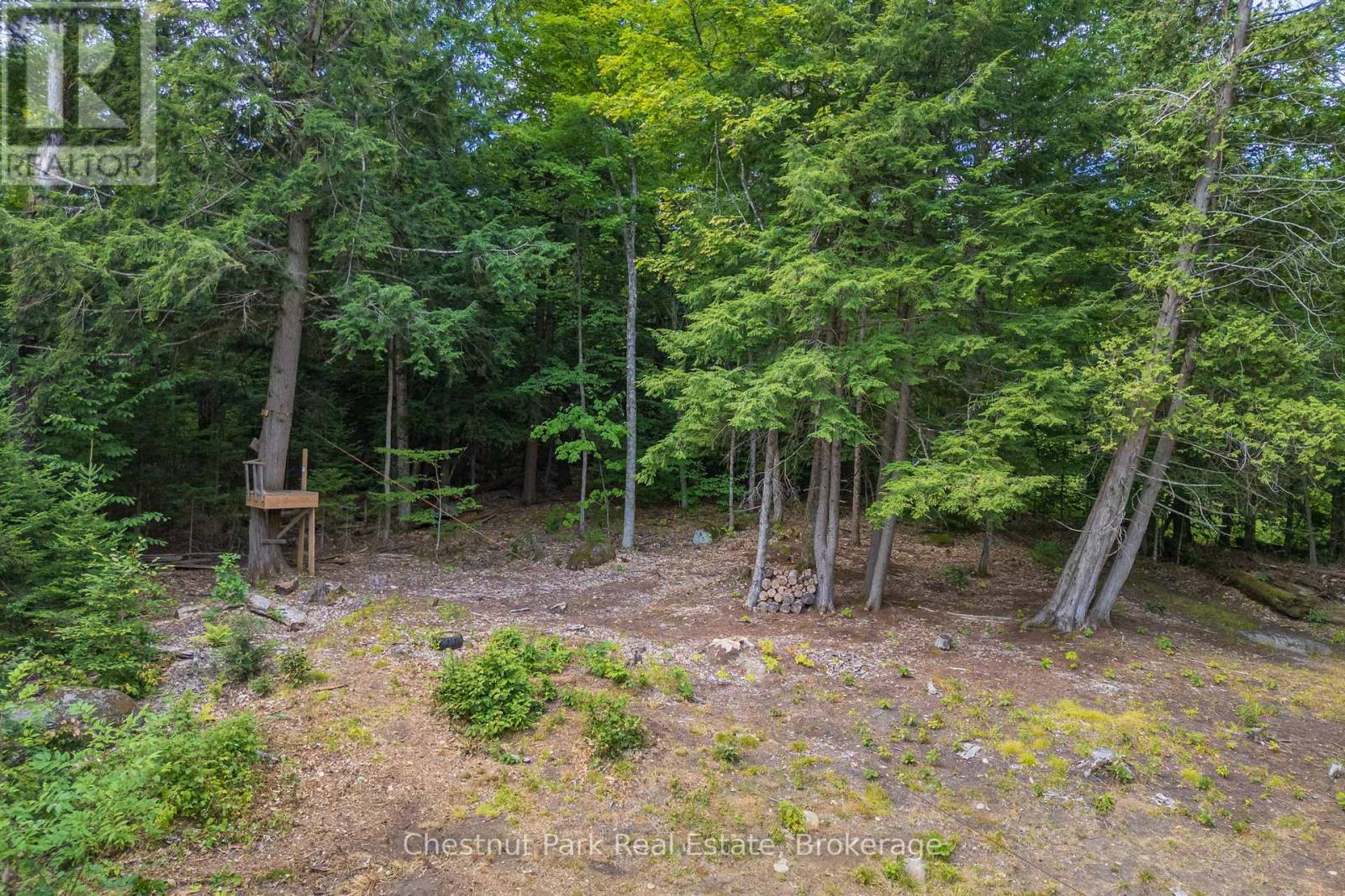 2698 Old Muskoka Road, Huntsville, Ontario  P0B 1M0 - Photo 35 - X12654220