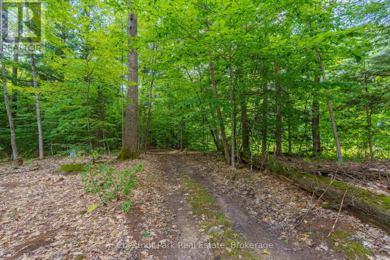 2698 Old Muskoka Road, Huntsville, Ontario  P0B 1M0 - Photo 48 - X12654220