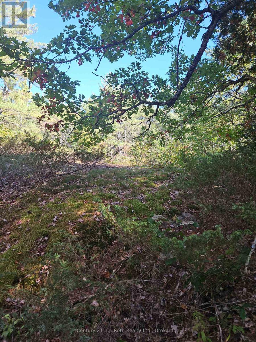 1112 Sam Cook Road, Gravenhurst, Ontario  P1P 1R3 - Photo 10 - X12672910