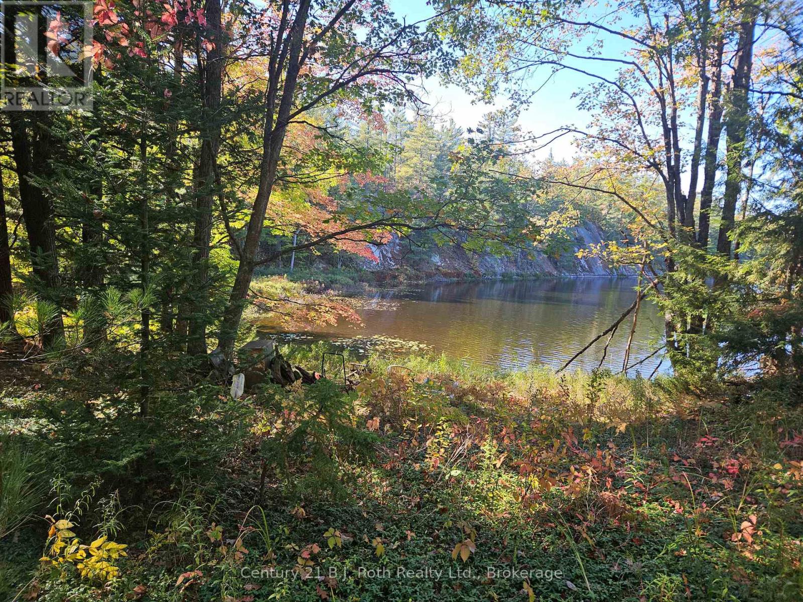 1112 Sam Cook Road, Gravenhurst, Ontario  P1P 1R3 - Photo 5 - X12672910