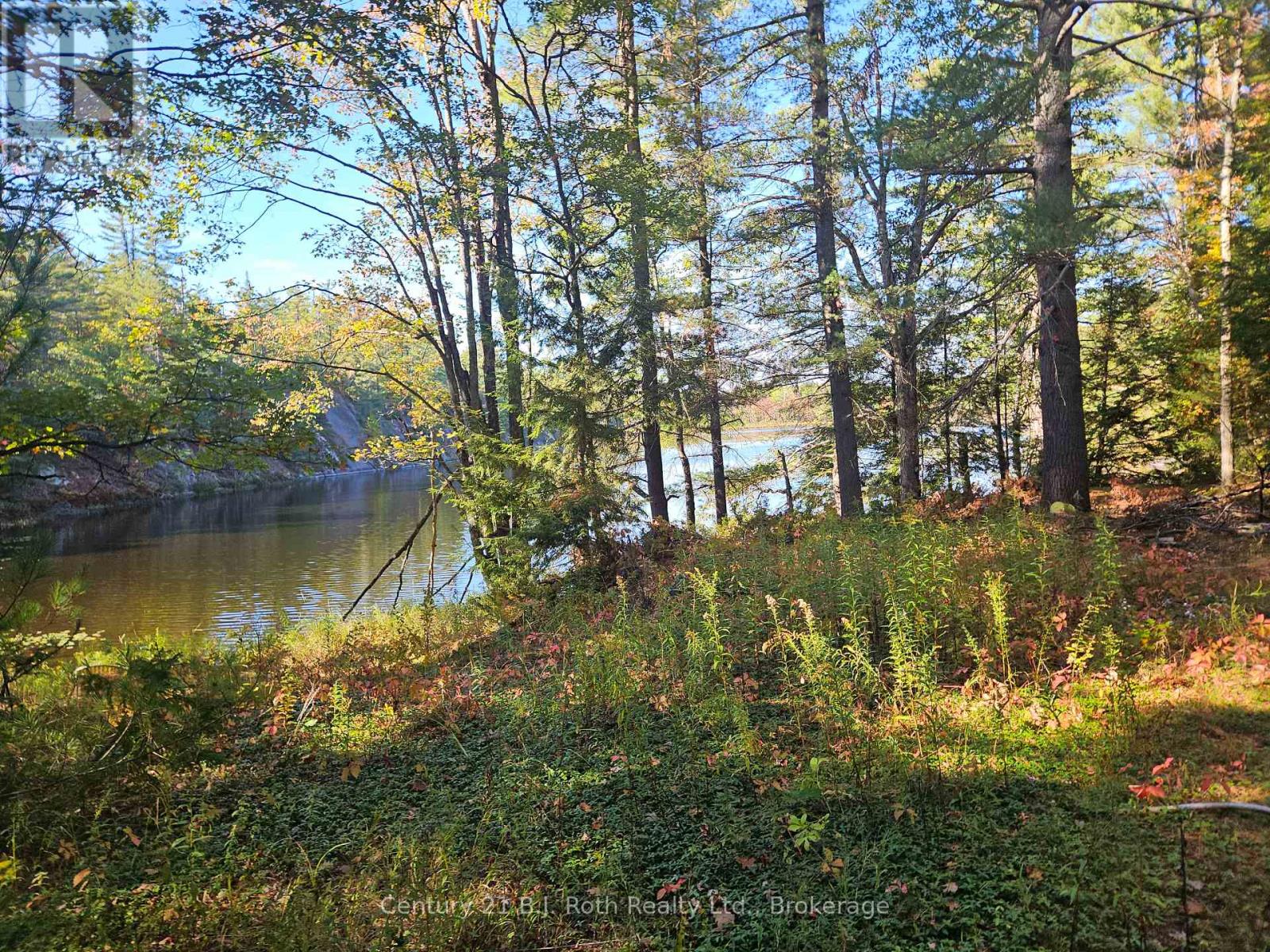 1112 Sam Cook Road, Gravenhurst, Ontario  P1P 1R3 - Photo 6 - X12672910