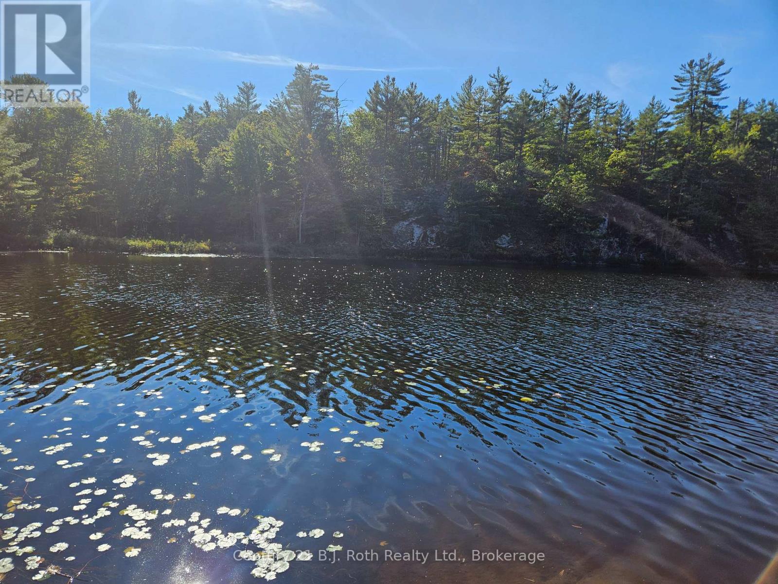 1112 Sam Cook Road, Gravenhurst, Ontario  P1P 1R3 - Photo 8 - X12672910