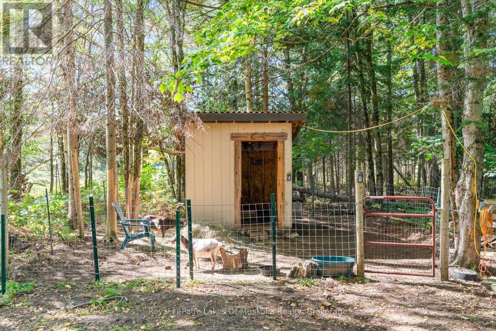 3921 Ravenscliffe Road, Huntsville, Ontario  P1H 2J2 - Photo 26 - X12673216