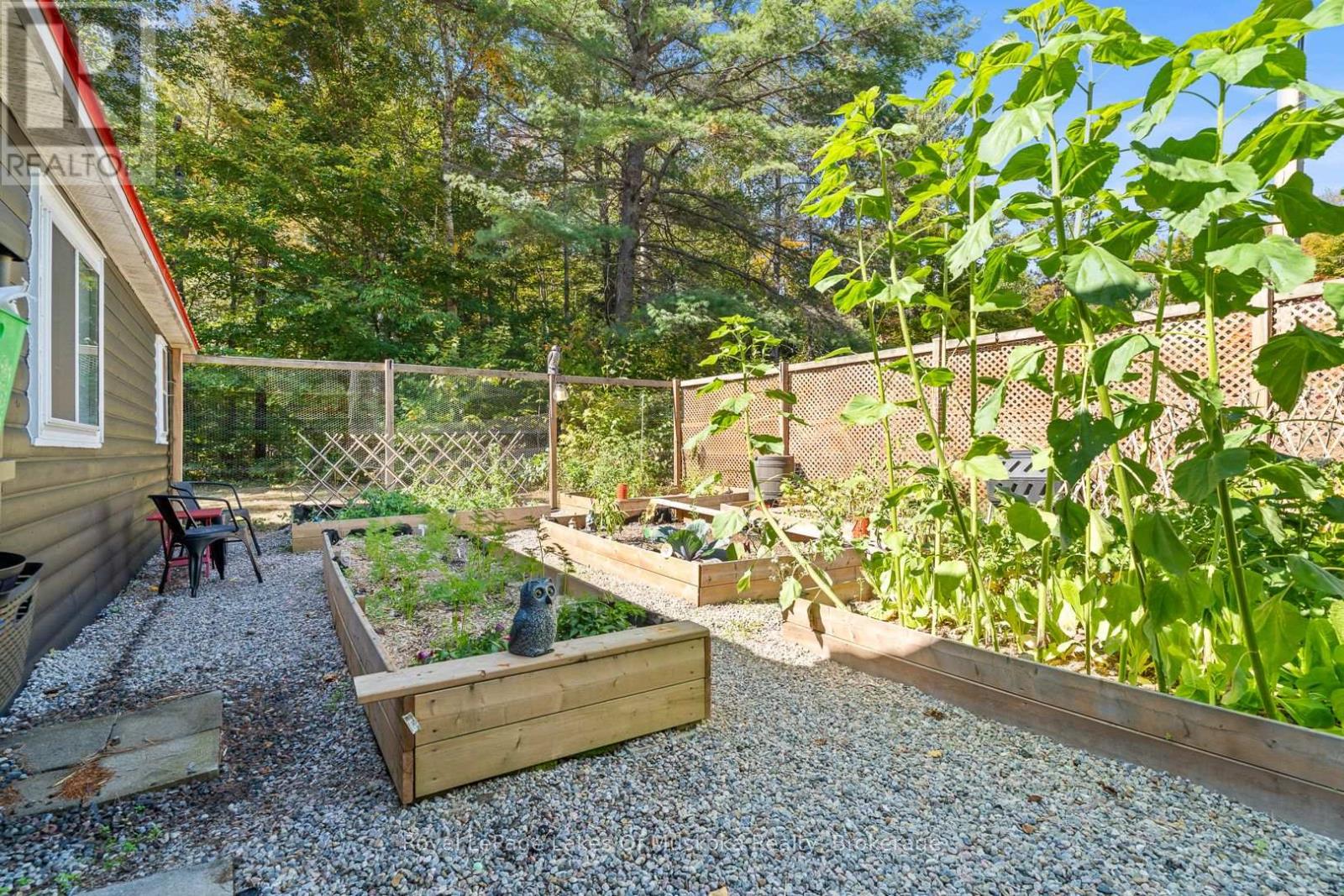 3921 Ravenscliffe Road, Huntsville, Ontario  P1H 2J2 - Photo 35 - X12673216