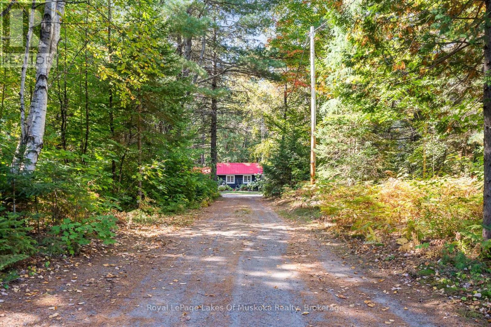 3921 Ravenscliffe Road, Huntsville, Ontario  P1H 2J2 - Photo 38 - X12673216