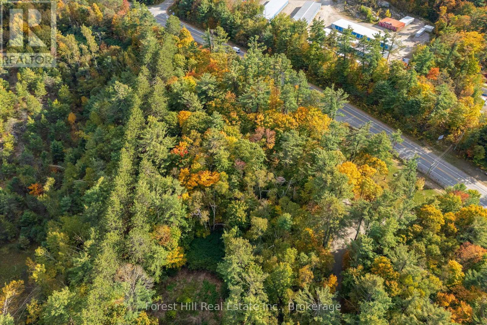 3864 Highway 118 W, Muskoka Lakes, Ontario  P0B 1J0 - Photo 18 - X12677892