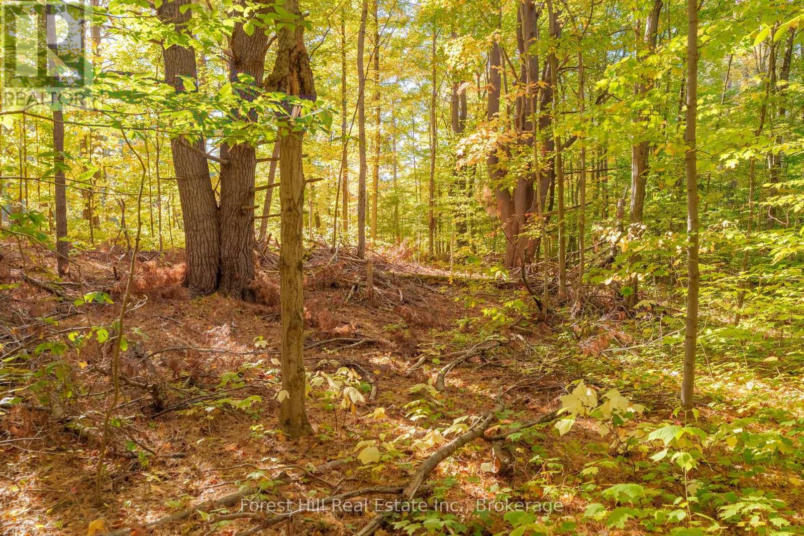 3864 Highway 118 W, Muskoka Lakes, Ontario  P0B 1J0 - Photo 32 - X12677892