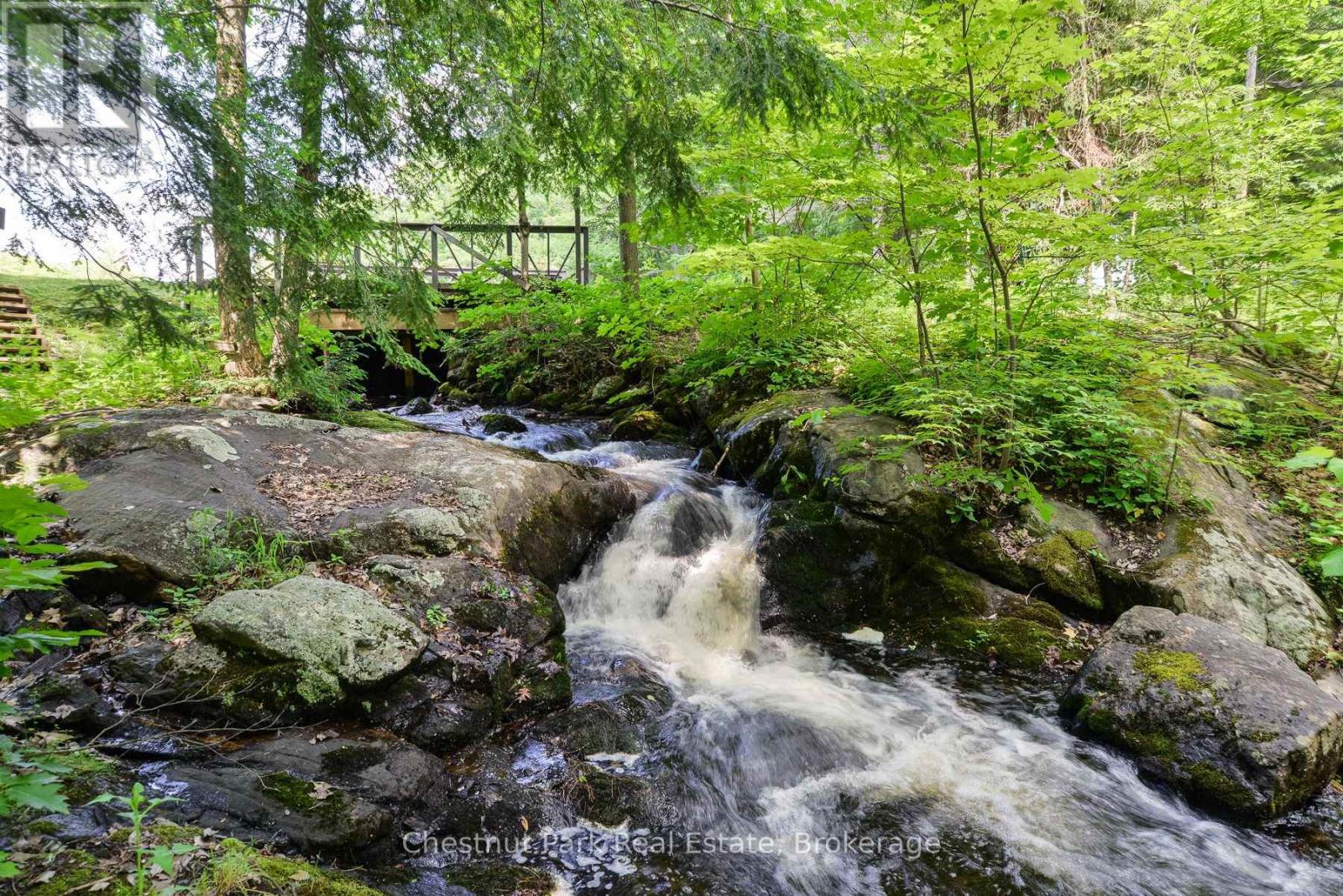 848 Clearwater Lake Road, Huntsville, Ontario  P0B 1L0 - Photo 19 - X12678452