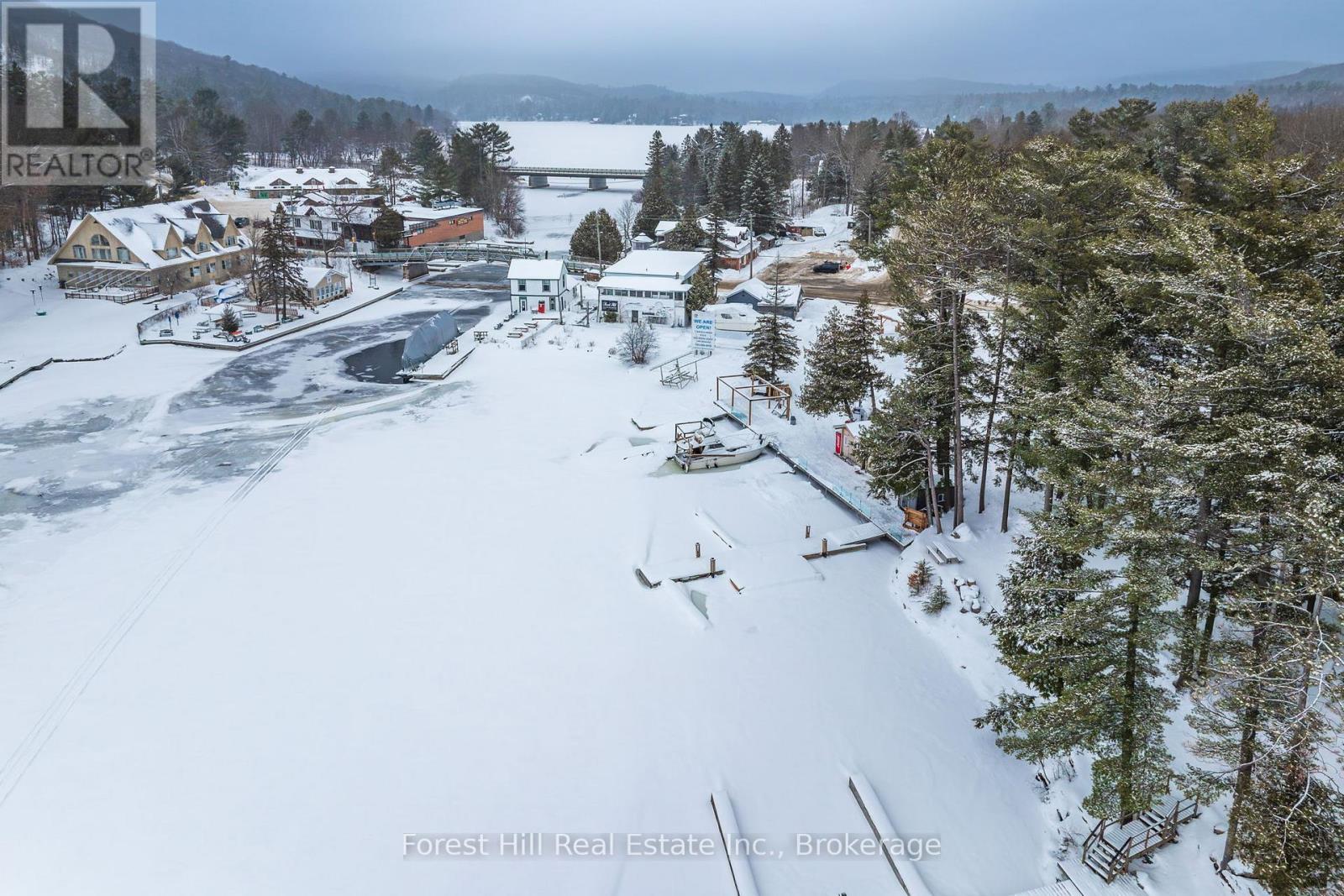 1092 Main Street, Lake Of Bays, Ontario  P0B 1A0 - Photo 1 - X12681198
