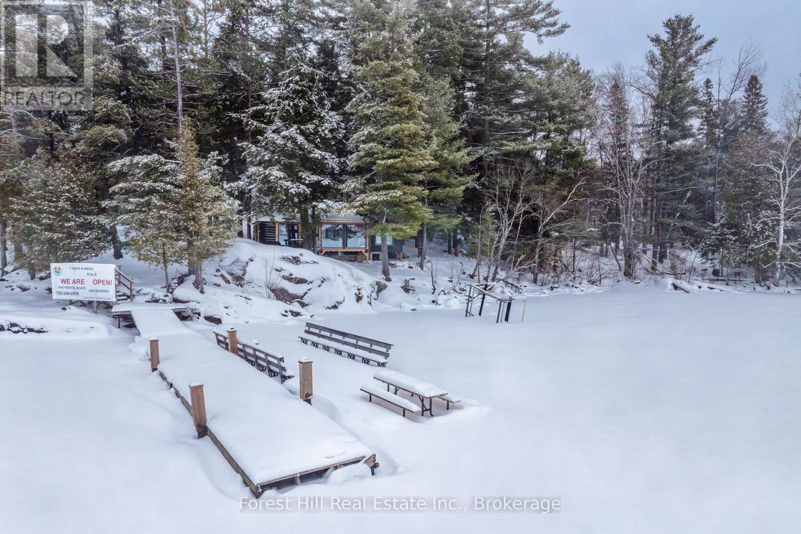 1092 Main Street, Lake Of Bays, Ontario  P0B 1A0 - Photo 32 - X12681198