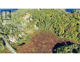 1014 WEST BLACK LAKE ROAD, Muskoka Lakes, Ontario