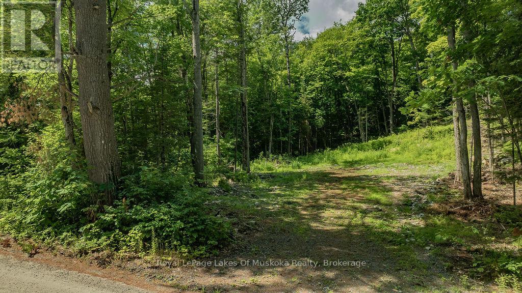 0000 Ril Lake Road S, Lake Of Bays, Ontario  P0B 1A0 - Photo 3 - X12687612