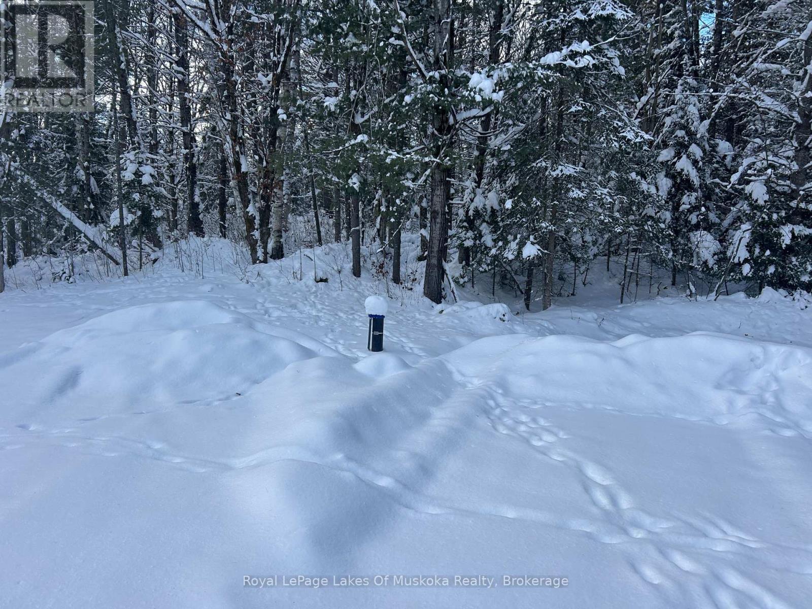 286 Clearwater Lake Road, Huntsville, Ontario  P0B 1L0 - Photo 22 - X12691870