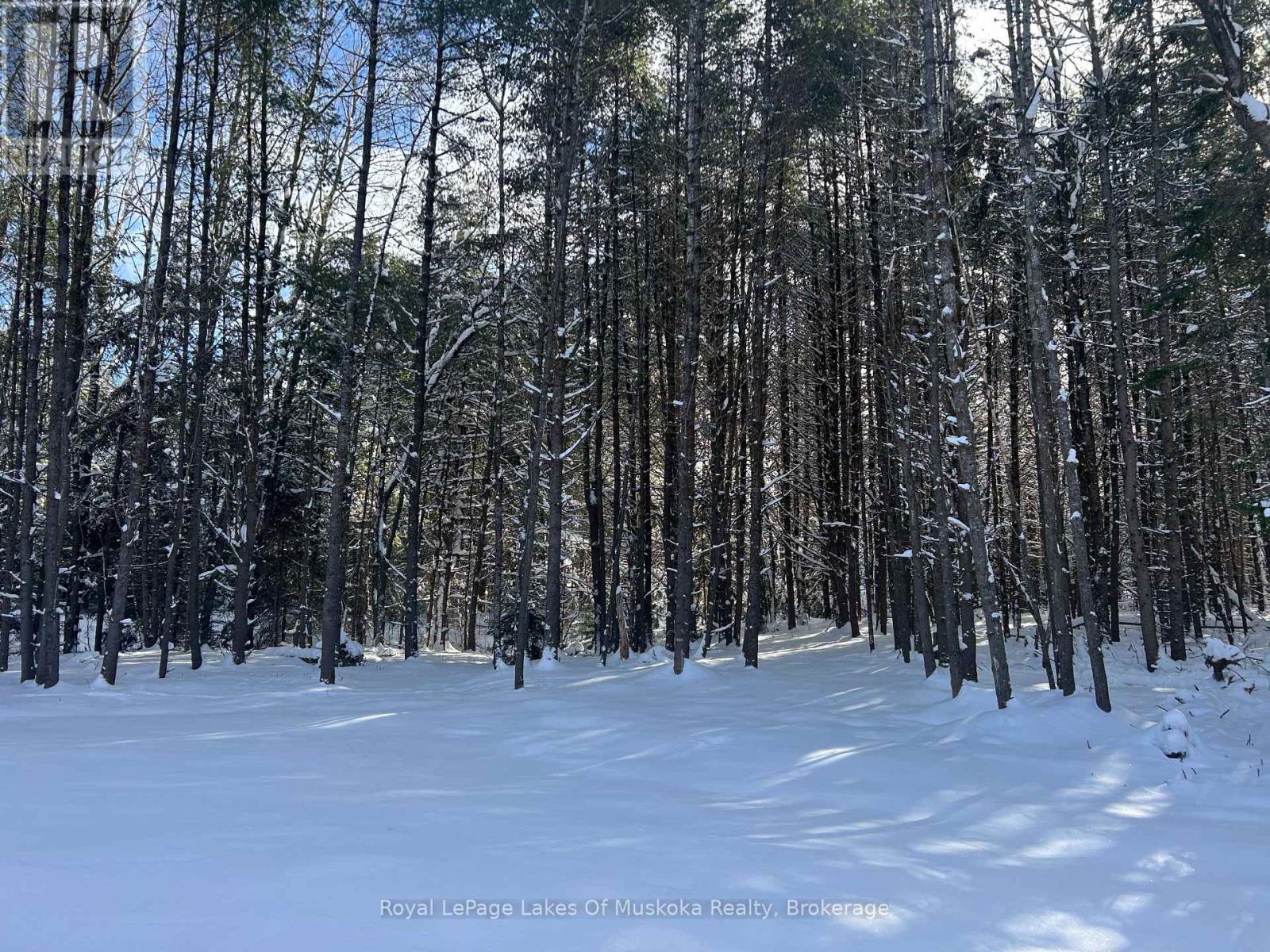 286 Clearwater Lake Road, Huntsville, Ontario  P0B 1L0 - Photo 4 - X12691870