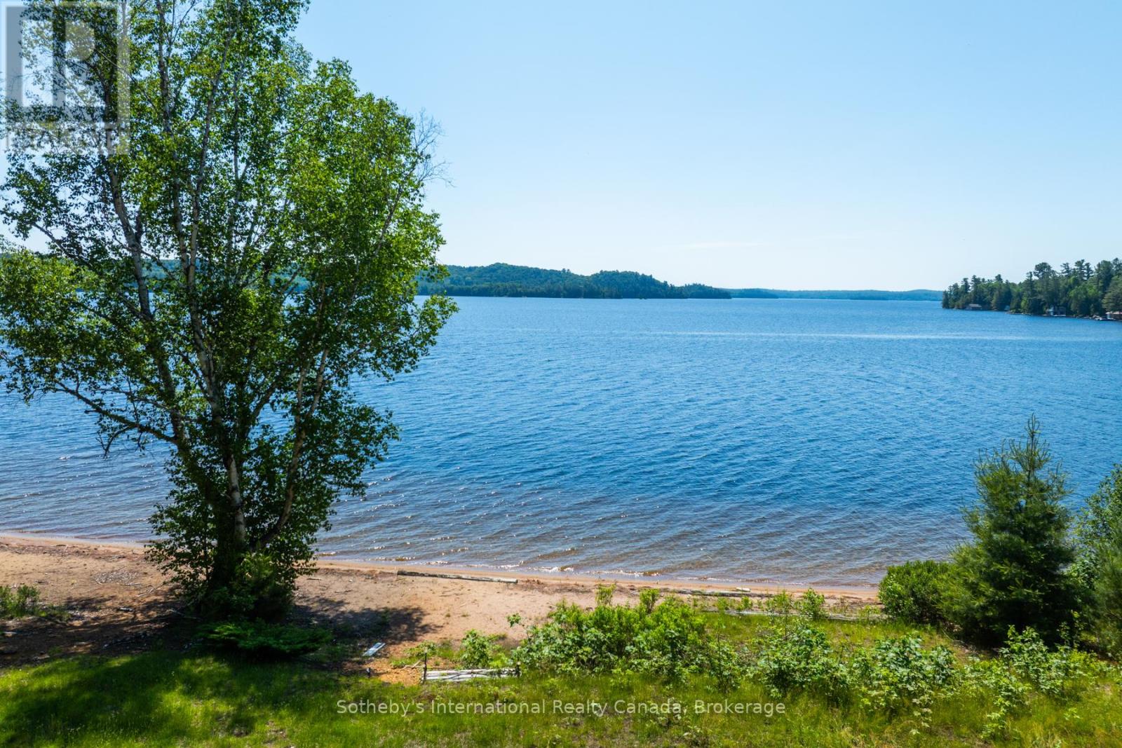 2447 South Portage Road, Lake Of Bays, Ontario  L8H 6Z4 - Photo 10 - X12696784