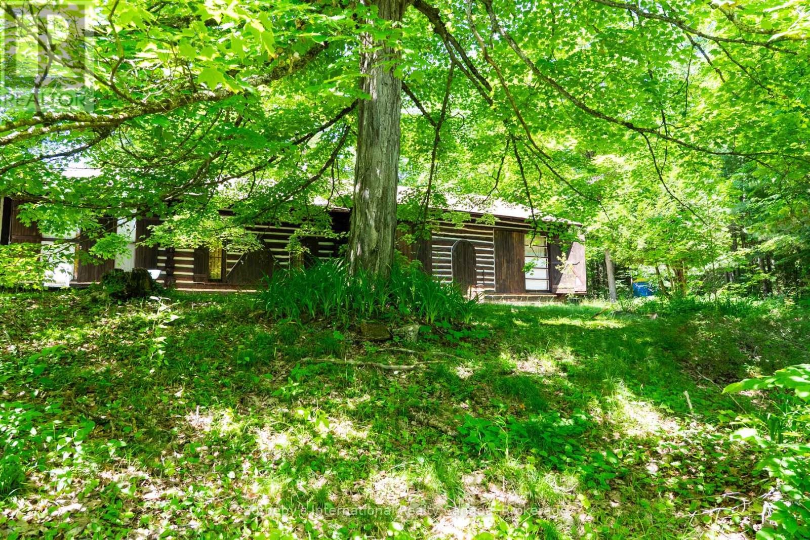 2447 South Portage Road, Lake Of Bays, Ontario  L8H 6Z4 - Photo 28 - X12696784