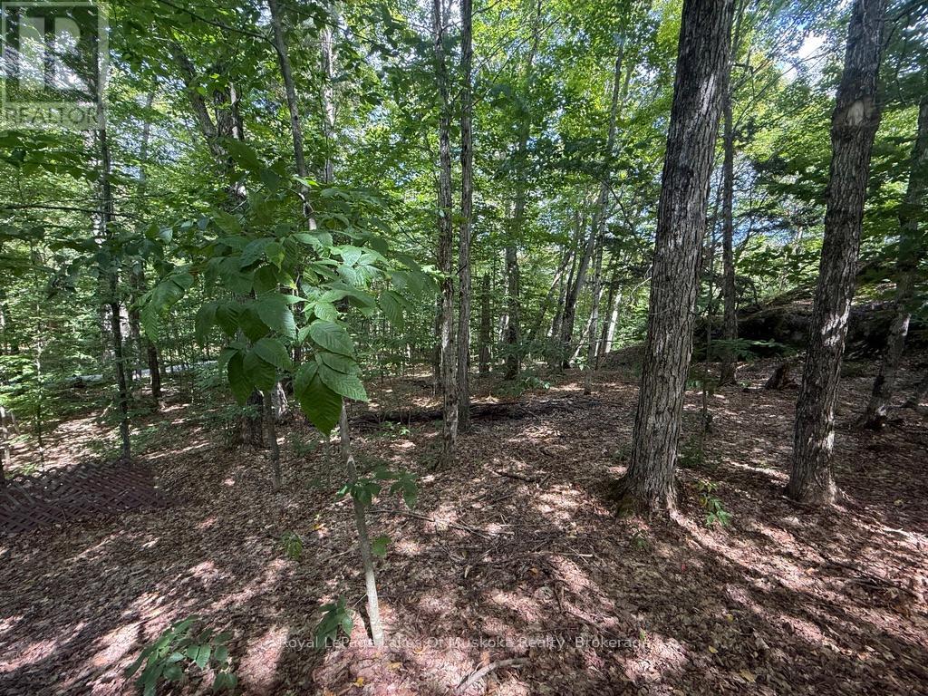 Lot 85 Brennan Circle, Huntsville, Ontario  P1H 2J2 - Photo 12 - X12698818