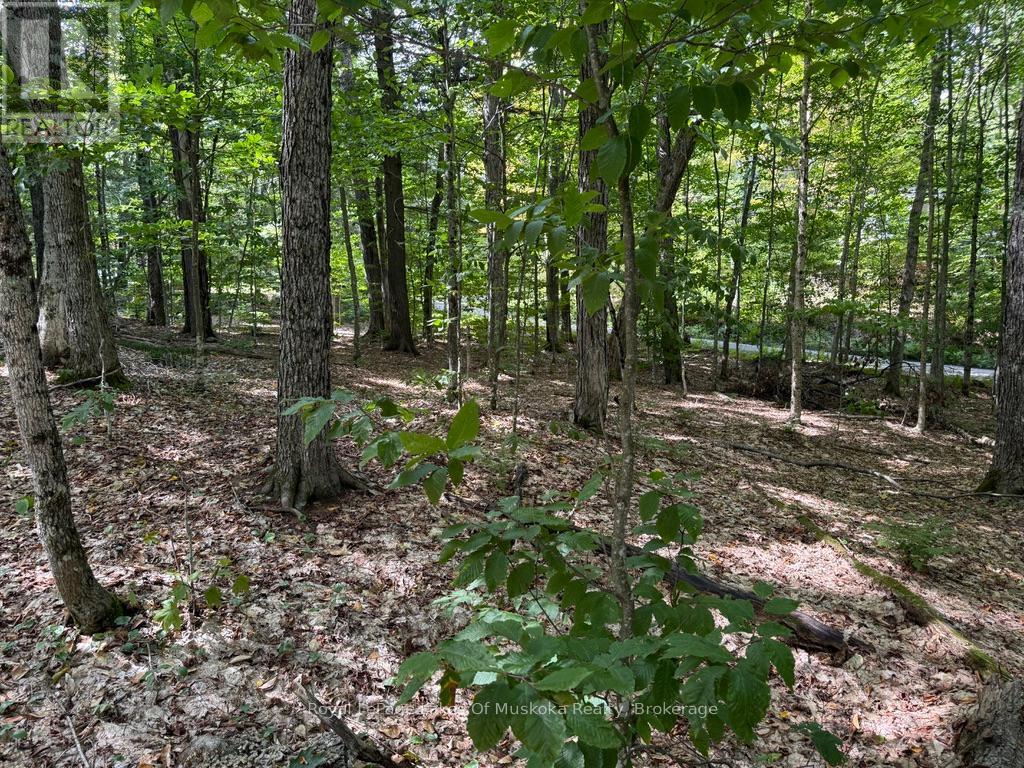 Lot 85 Brennan Circle, Huntsville, Ontario  P1H 2J2 - Photo 8 - X12698818