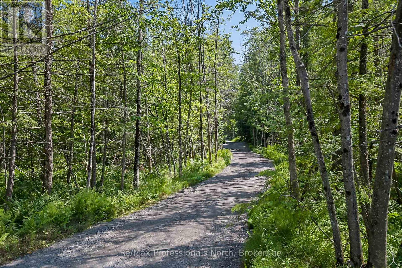 1054 Brydons Bay Road, Gravenhurst, Ontario  P1P 1R1 - Photo 7 - X12699758