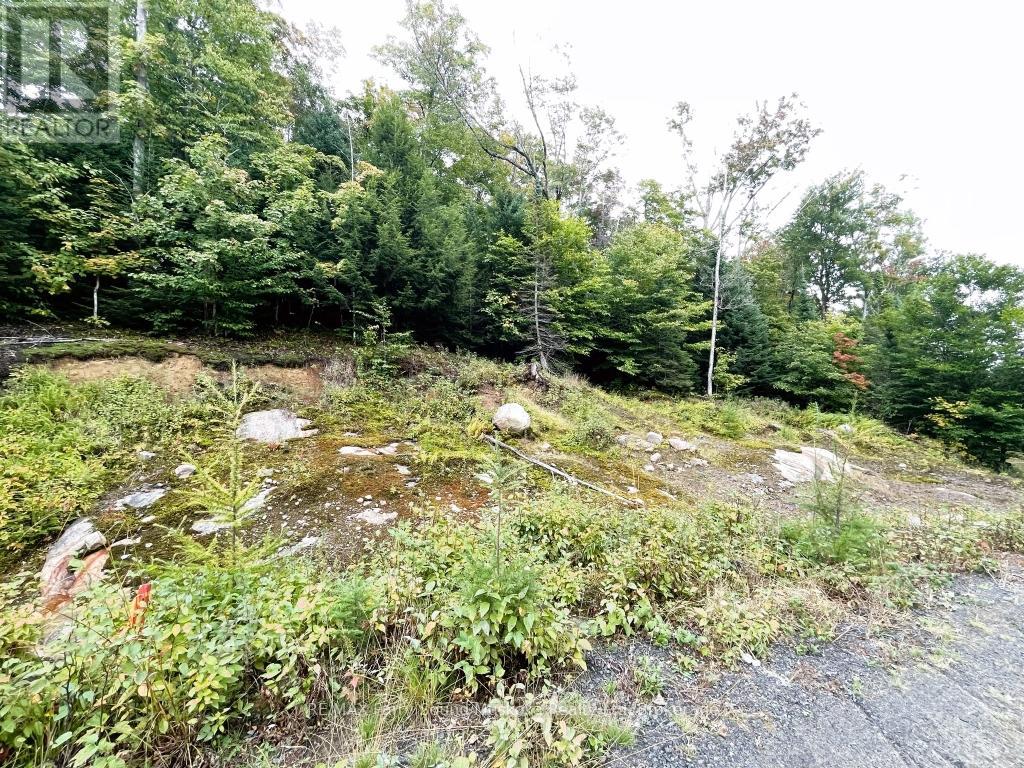 75 Granite Drive, Huntsville, Ontario  P0A 1R0 - Photo 12 - X12700770