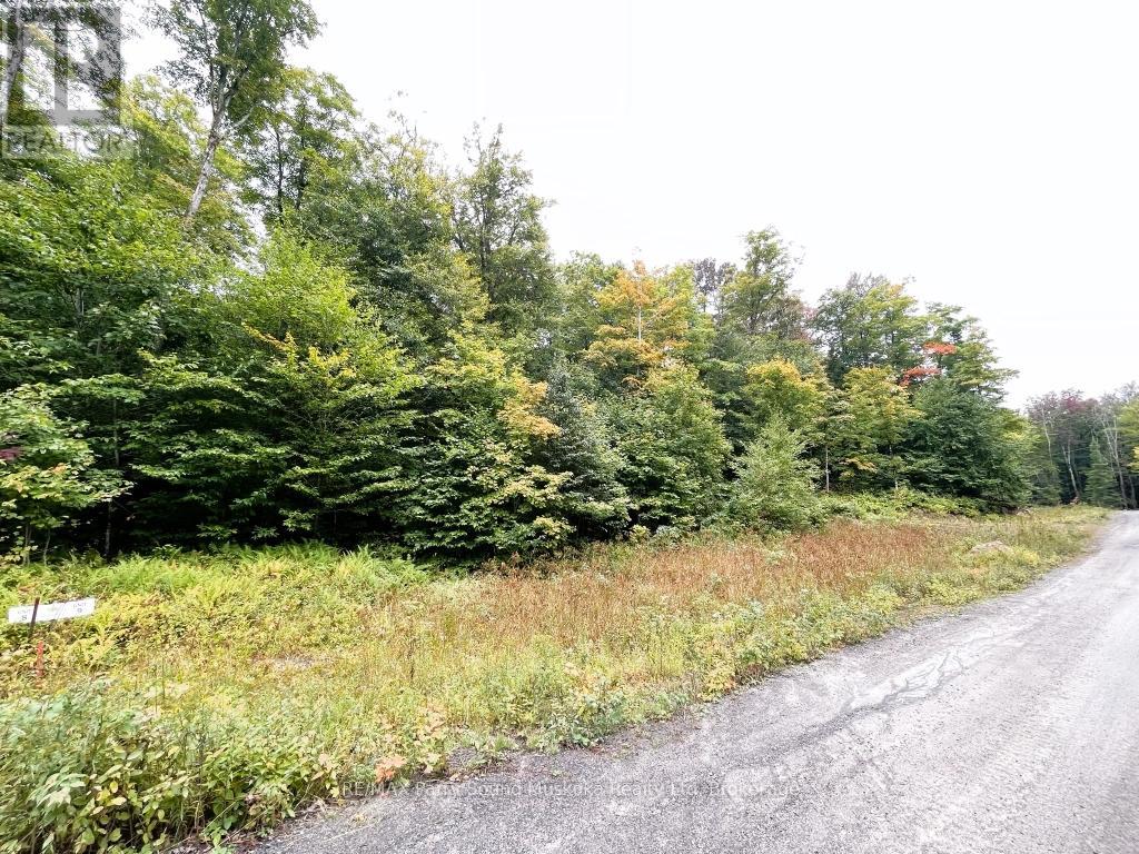 75 Granite Drive, Huntsville, Ontario  P0A 1R0 - Photo 3 - X12700770