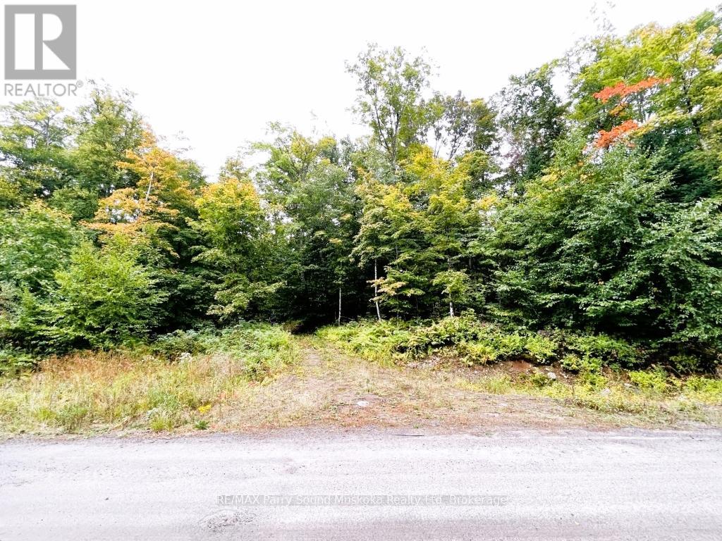 75 Granite Drive, Huntsville, Ontario  P0A 1R0 - Photo 5 - X12700770