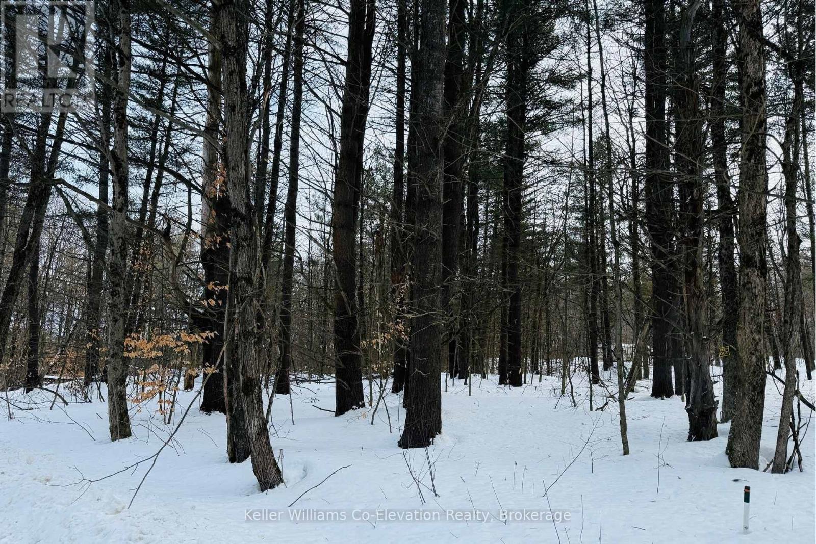 Lt Pt 3 Whites Road, Muskoka Lakes, Ontario  P0B 1J0 - Photo 6 - X12710132