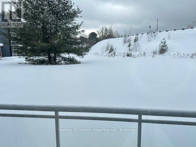 106 - 20c Silver Birch Court, Parry Sound, Ontario  P2A 0A7 - Photo 30 - X12710232