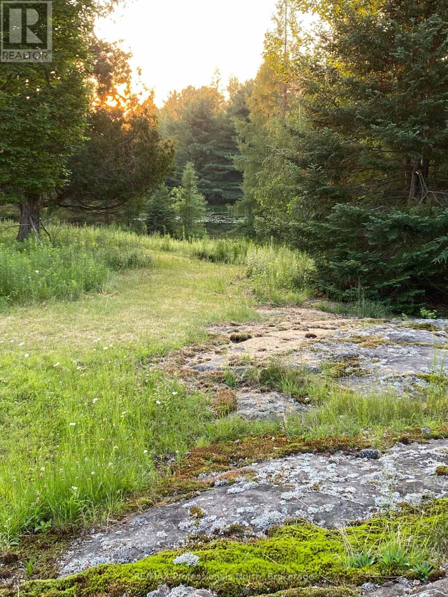 204 Mineral Springs Road, Huntsville, Ontario  P1H 2N5 - Photo 20 - X12715692