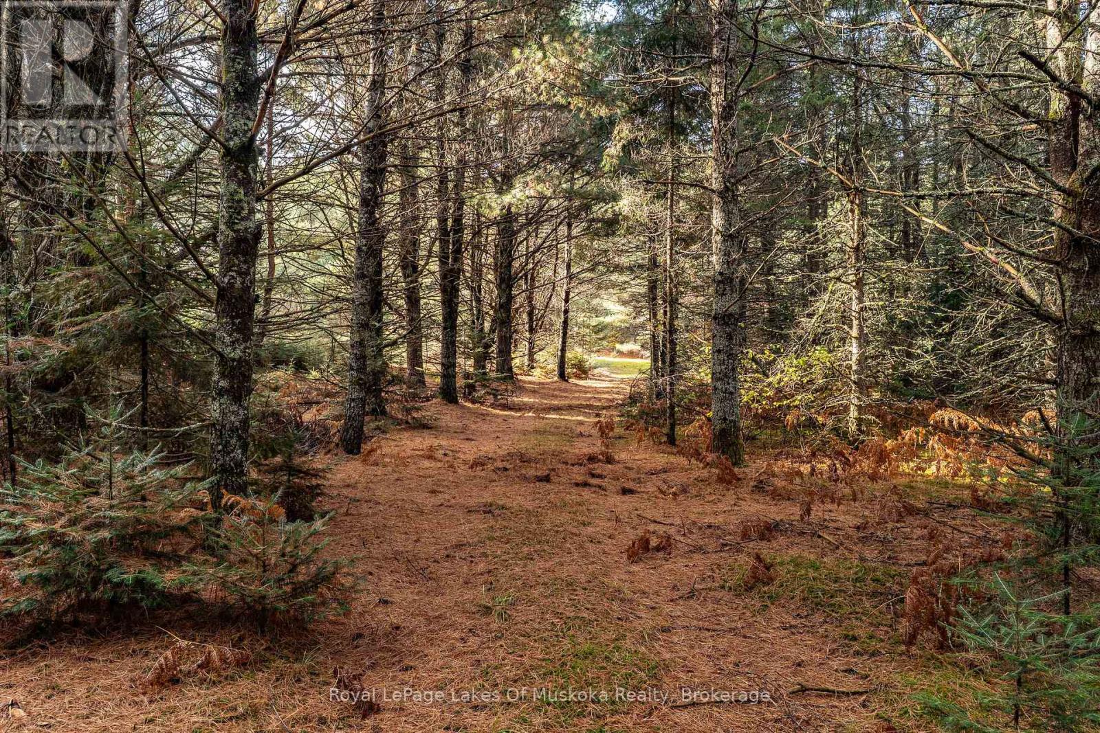 267 & 321 Cardwell Lake Road, Huntsville, Ontario  P0B 1M0 - Photo 12 - X12717688