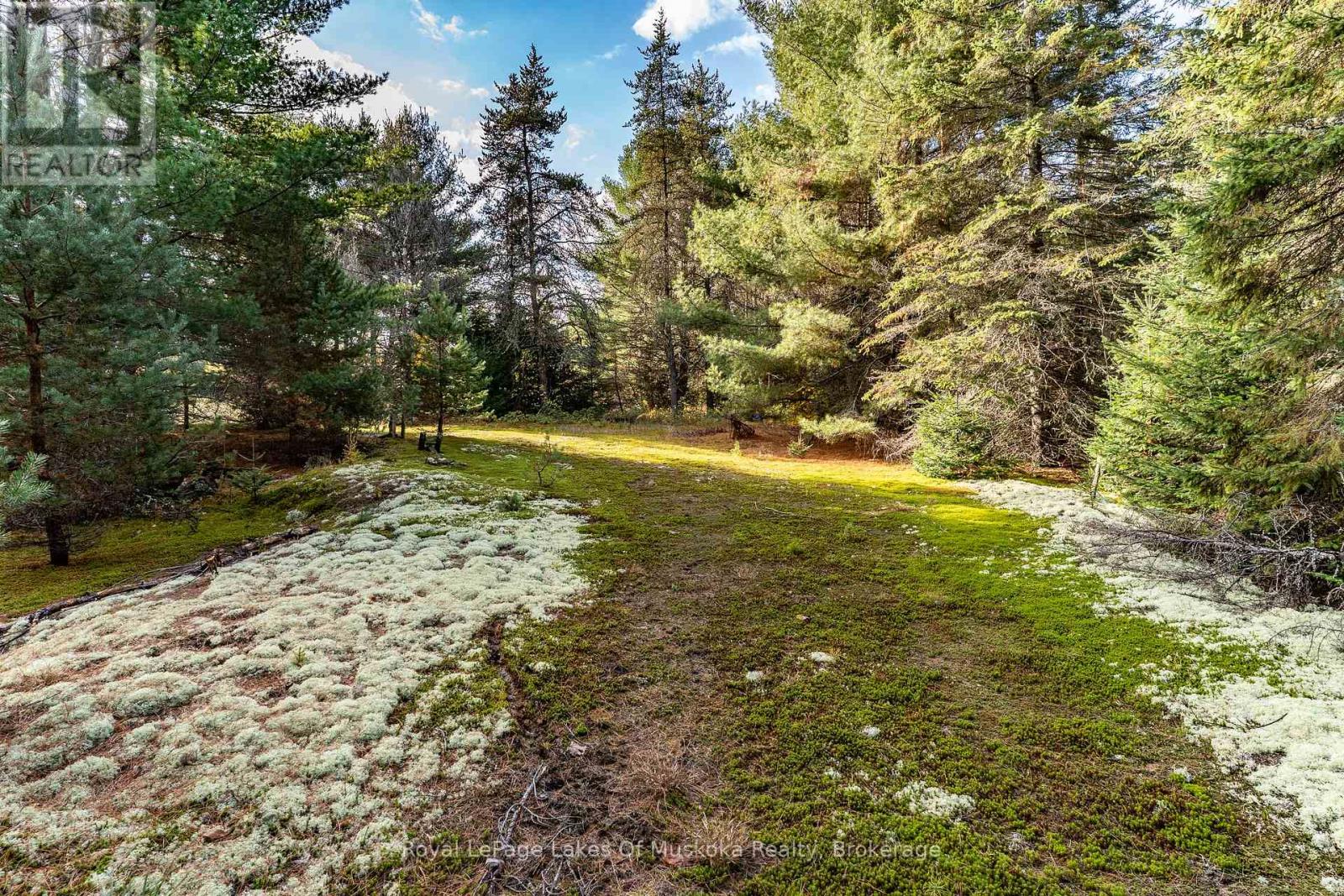 267 & 321 Cardwell Lake Road, Huntsville, Ontario  P0B 1M0 - Photo 13 - X12717688