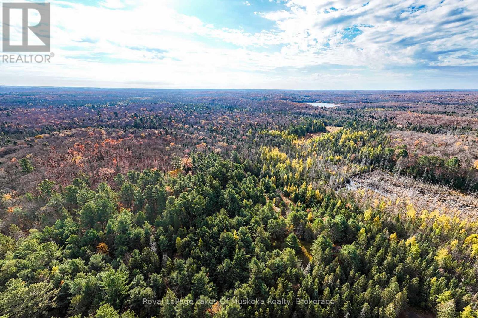 267 & 321 Cardwell Lake Road, Huntsville, Ontario  P0B 1M0 - Photo 3 - X12717688