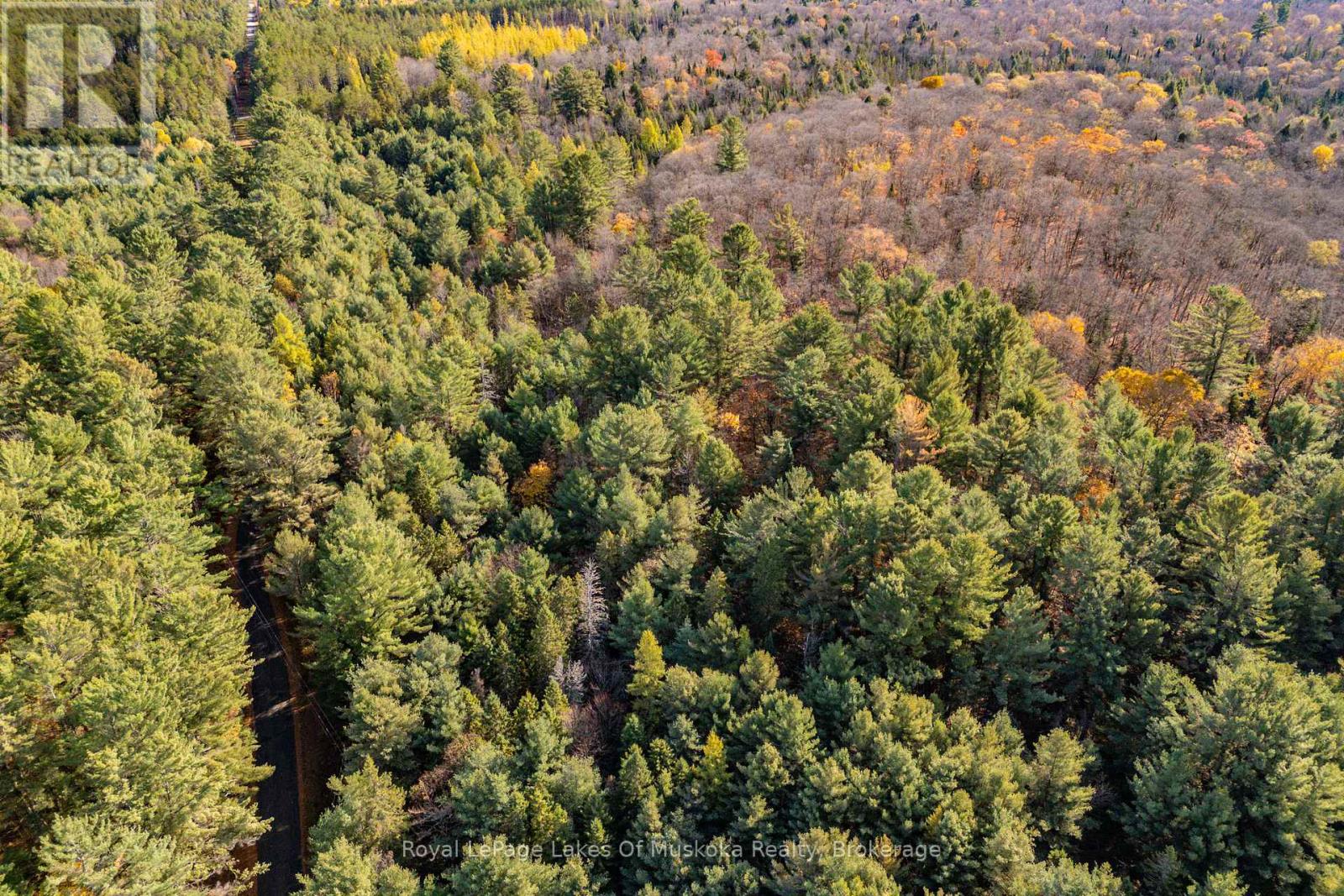 267 & 321 Cardwell Lake Road, Huntsville, Ontario  P0B 1M0 - Photo 5 - X12717688