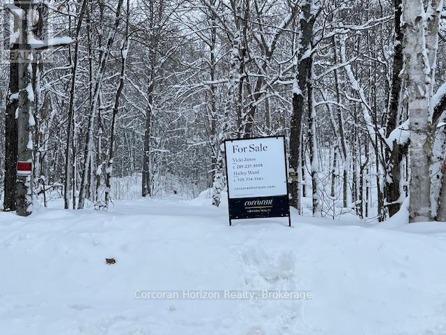 102 Black Road, Seguin, Ontario  P2A 0B2 - Photo 1 - X12719718