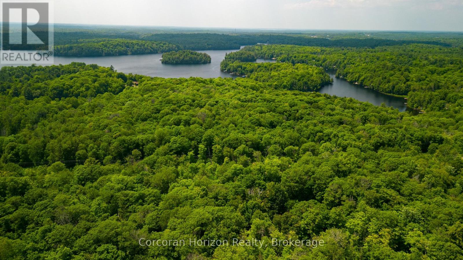 102 Black Road, Seguin, Ontario  P2A 0B2 - Photo 10 - X12719718