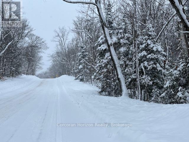 102 Black Road, Seguin, Ontario  P2A 0B2 - Photo 12 - X12719718