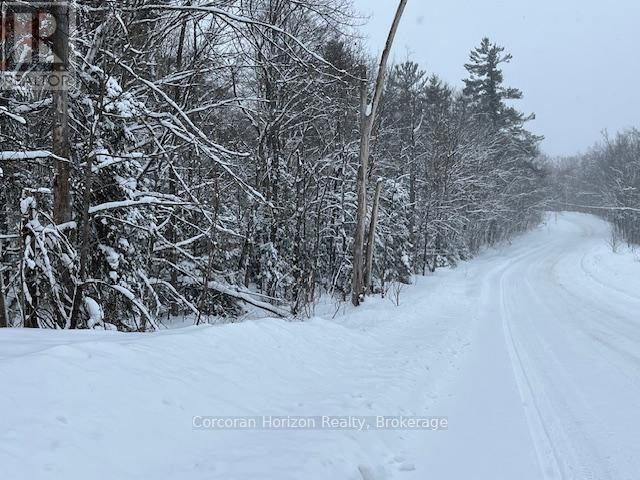 102 Black Road, Seguin, Ontario  P2A 0B2 - Photo 13 - X12719718