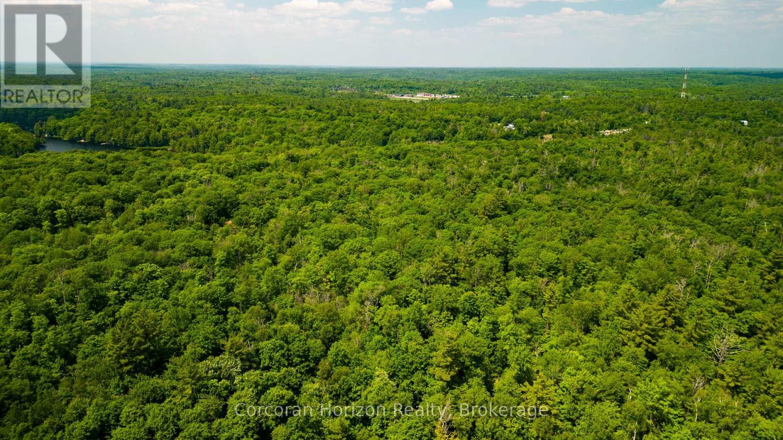 102 Black Road, Seguin, Ontario  P2A 0B2 - Photo 4 - X12719718