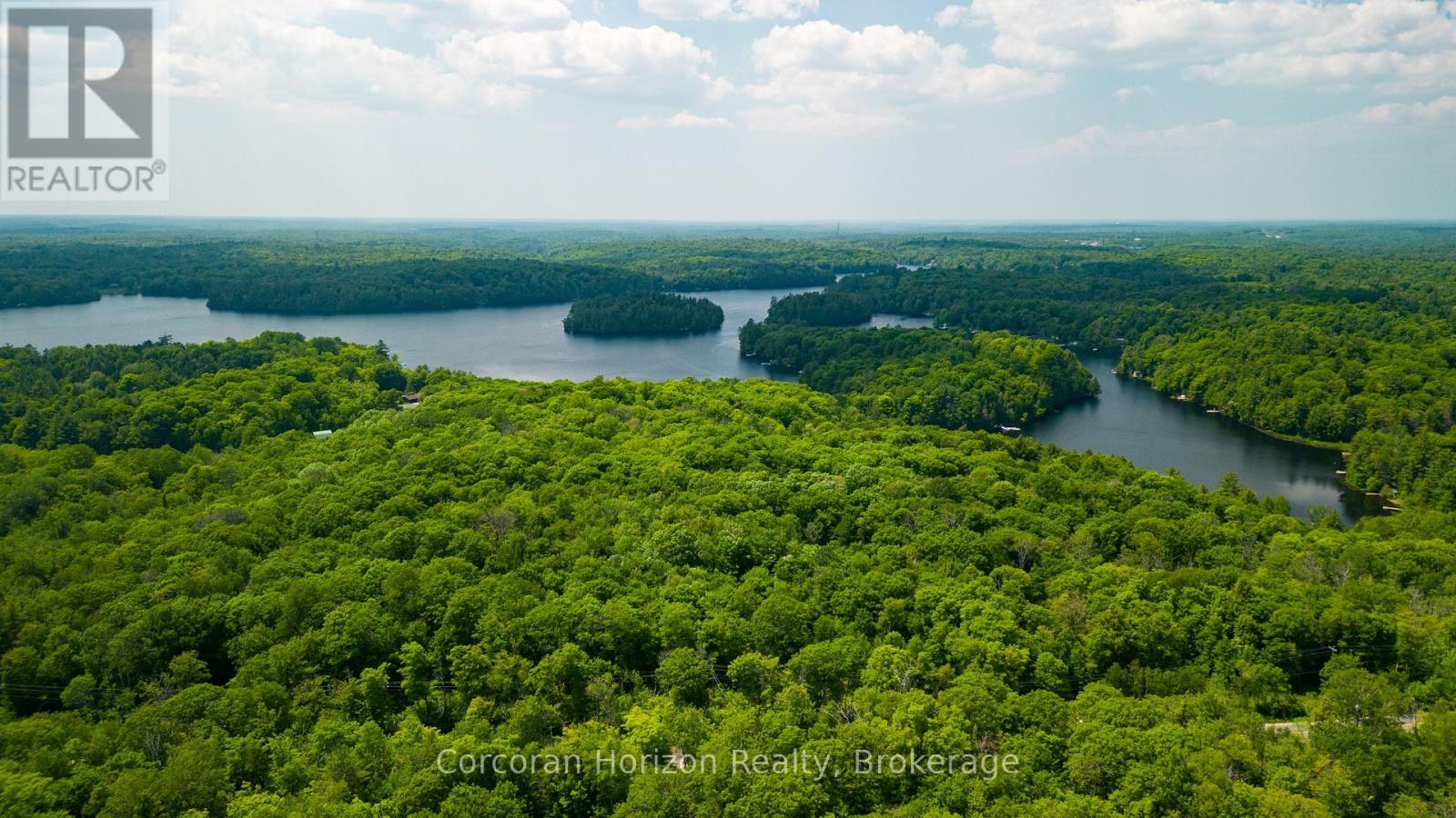 102 Black Road, Seguin, Ontario  P2A 0B2 - Photo 5 - X12719718