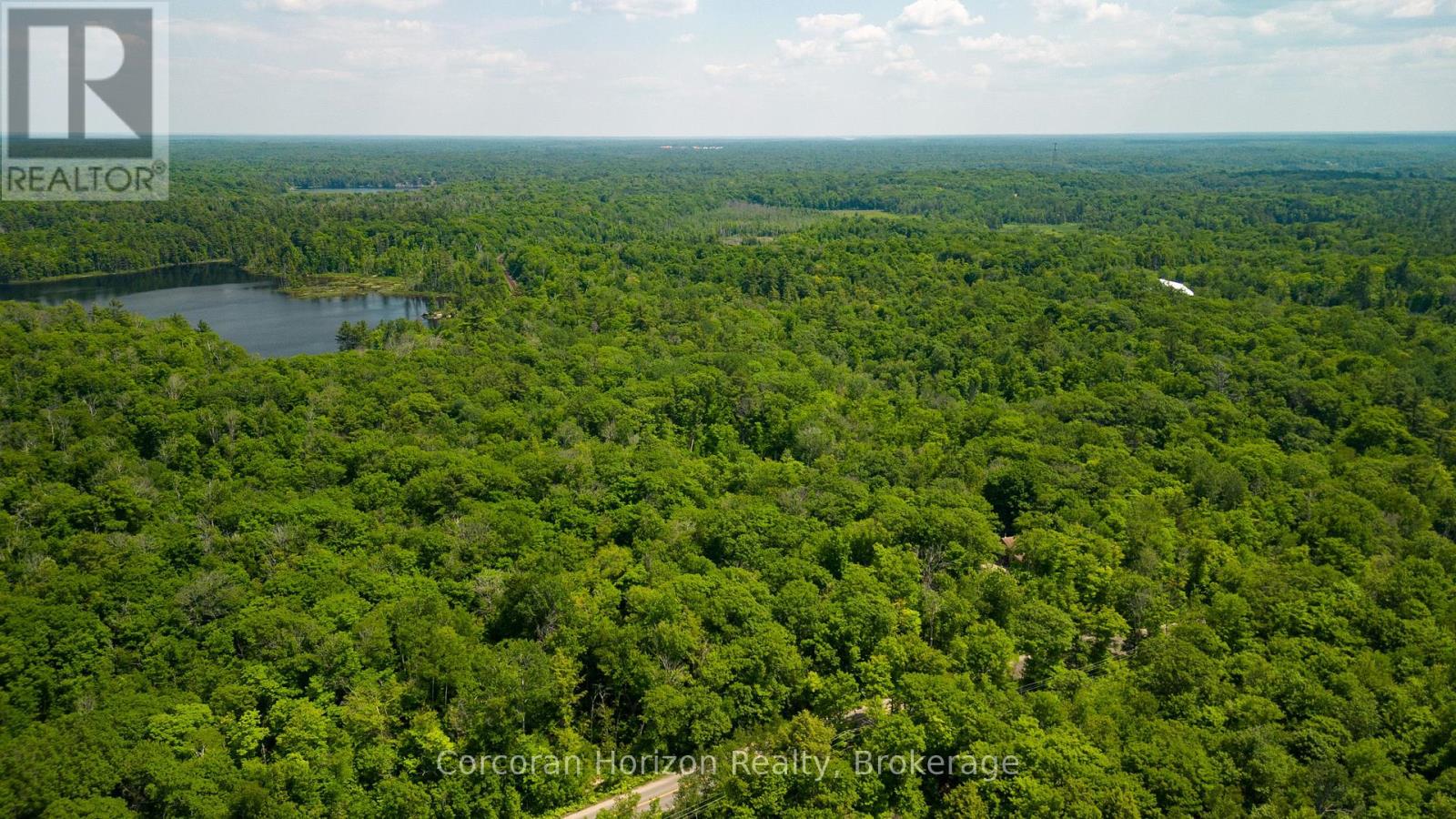 102 Black Road, Seguin, Ontario  P2A 0B2 - Photo 6 - X12719718