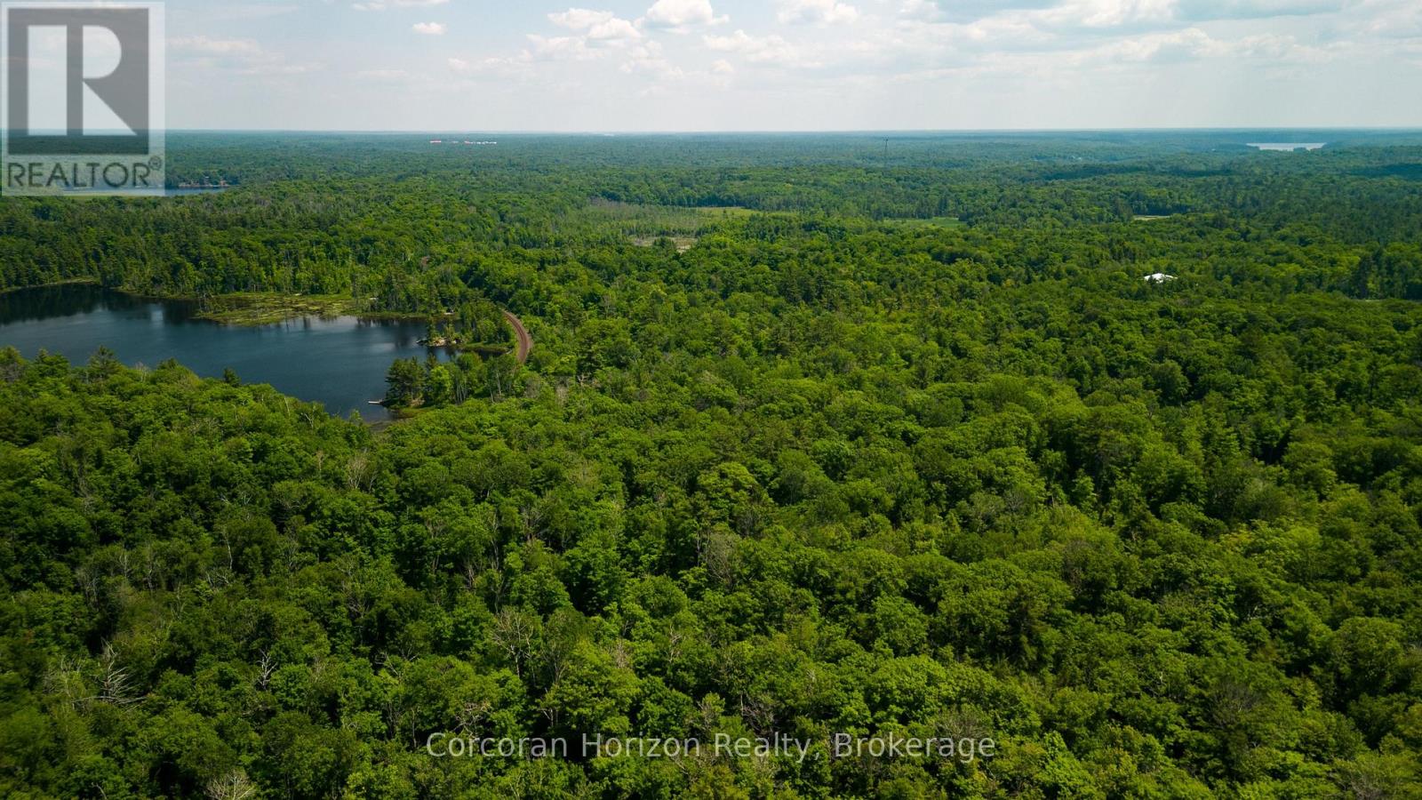 102 Black Road, Seguin, Ontario  P2A 0B2 - Photo 7 - X12719718