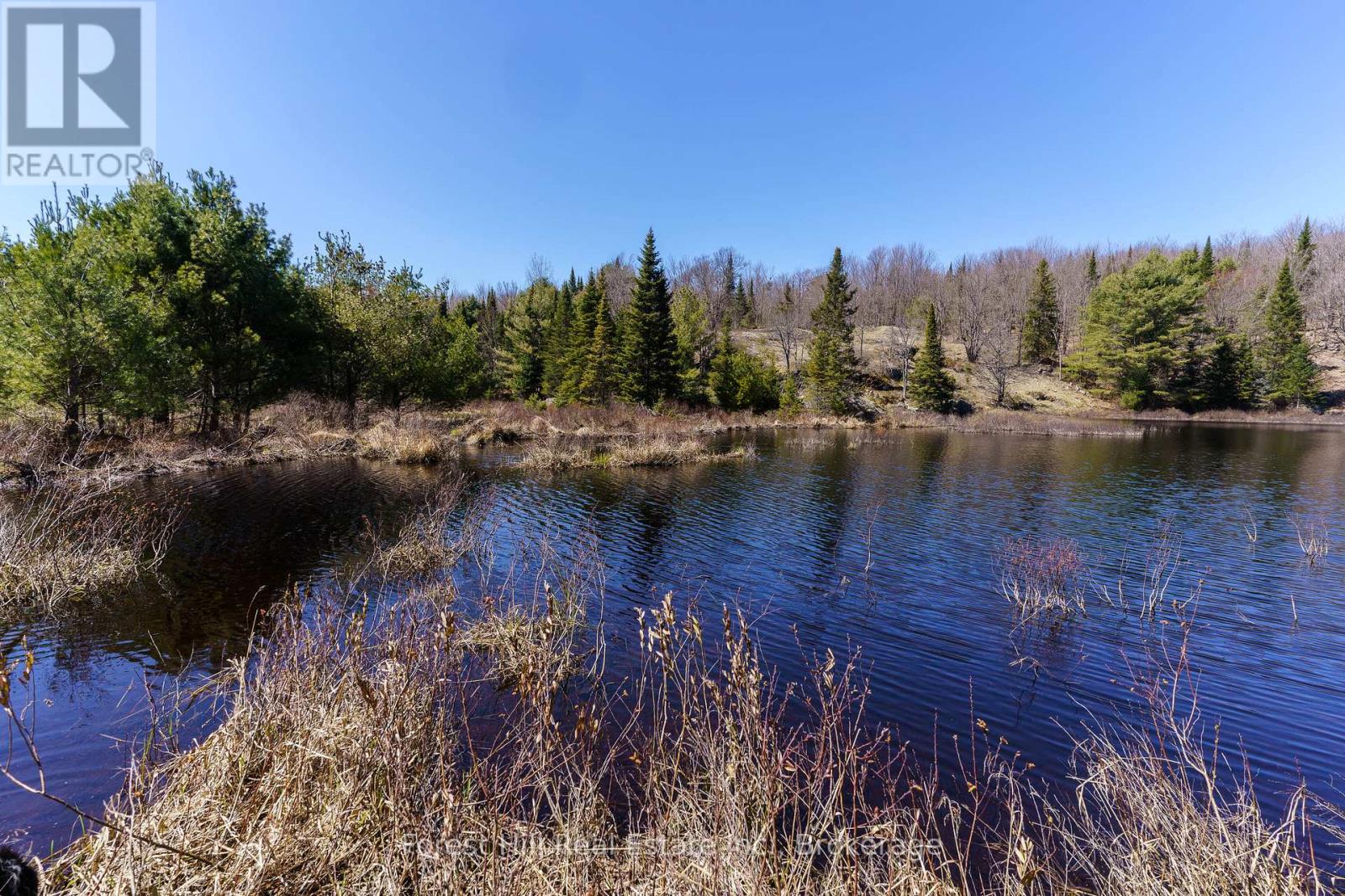Lt32c9 Concession Line Concession, Lake Of Bays, Ontario  P0A 1B0 - Photo 10 - X12727282