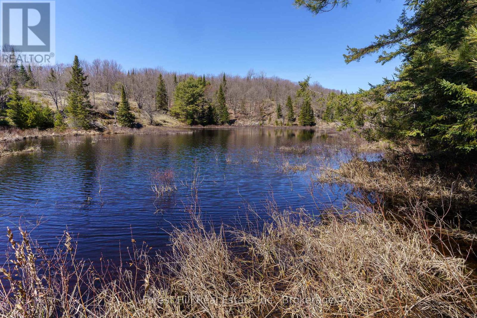Lt32c9 Concession Line Concession, Lake Of Bays, Ontario  P0A 1B0 - Photo 11 - X12727282