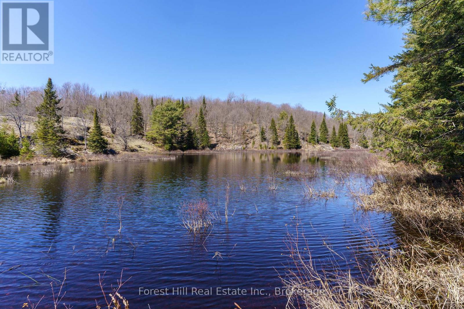 Lt32c9 Concession Line Concession, Lake Of Bays, Ontario  P0A 1B0 - Photo 12 - X12727282