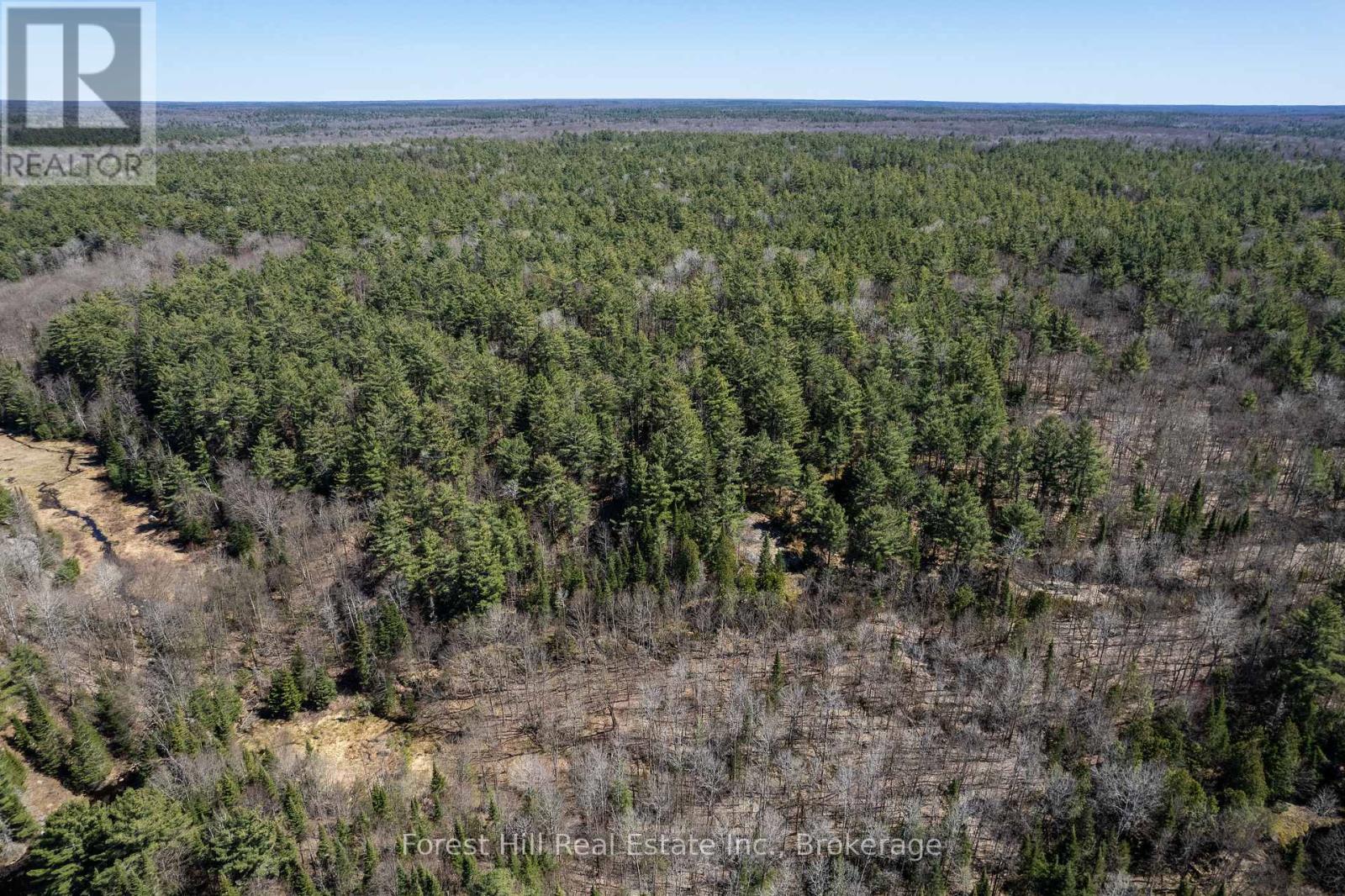 Lt32c9 Concession Line Concession, Lake Of Bays, Ontario  P0A 1B0 - Photo 26 - X12727282