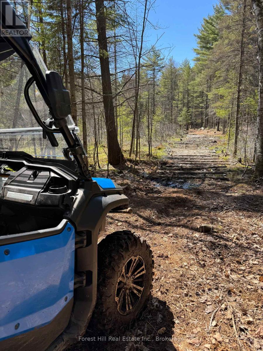 Lt32c9 Concession Line Concession, Lake Of Bays, Ontario  P0A 1B0 - Photo 3 - X12727282