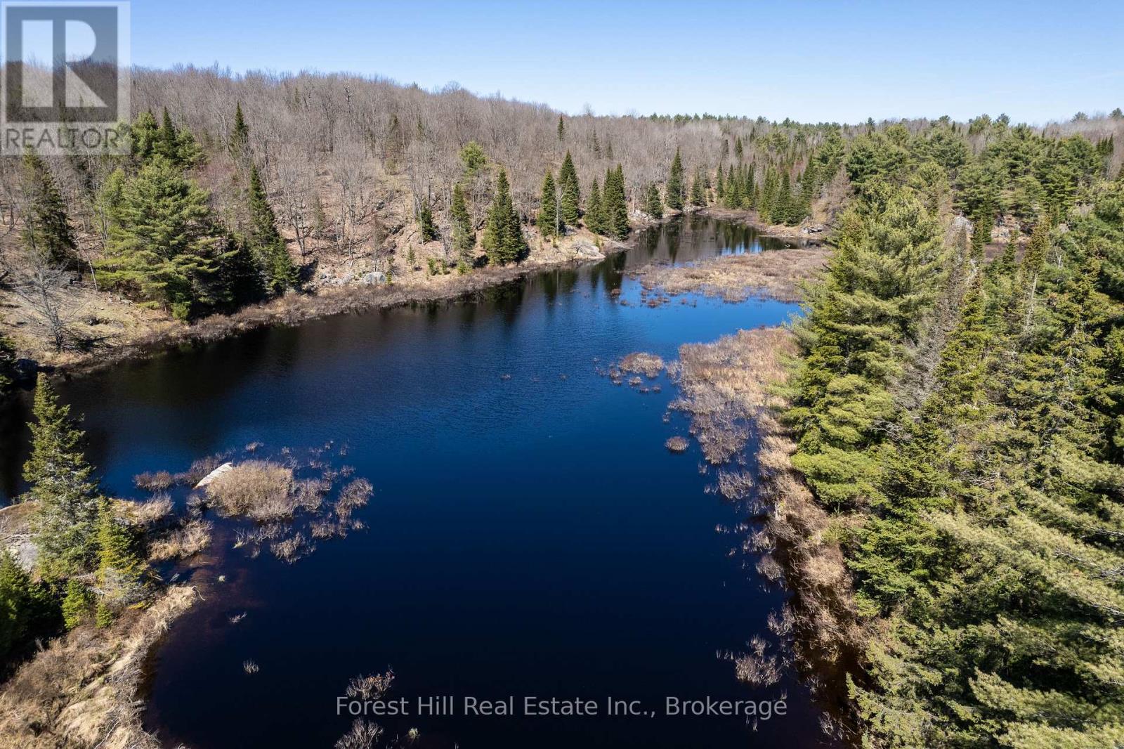 Lt32c9 Concession Line Concession, Lake Of Bays, Ontario  P0A 1B0 - Photo 34 - X12727282
