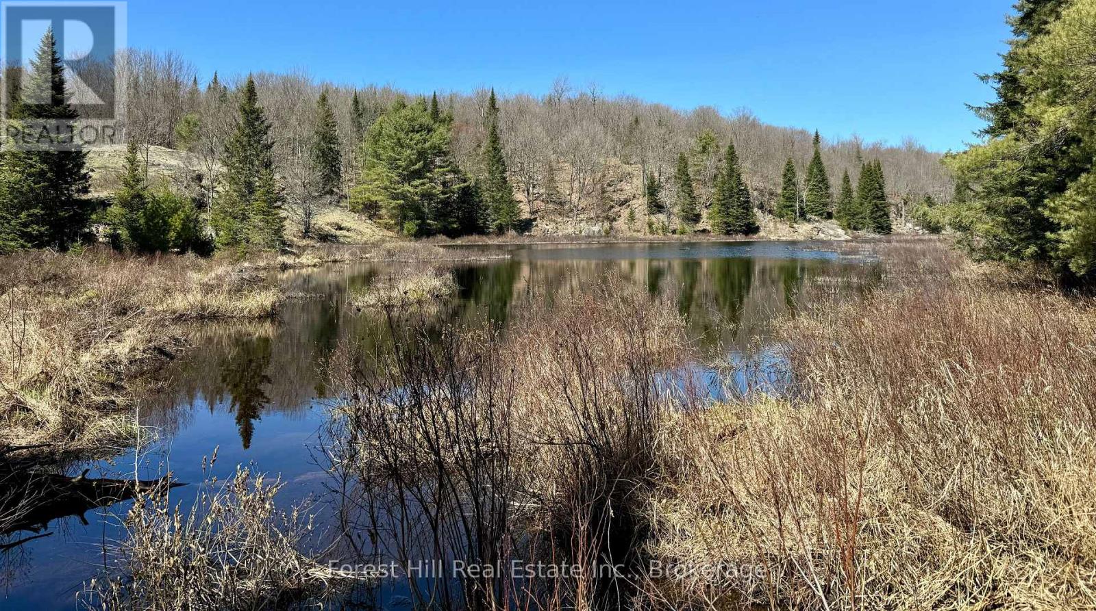 Lt32c9 Concession Line Concession, Lake Of Bays, Ontario  P0A 1B0 - Photo 39 - X12727282